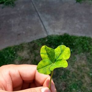 Meet your Posher, Kenneth